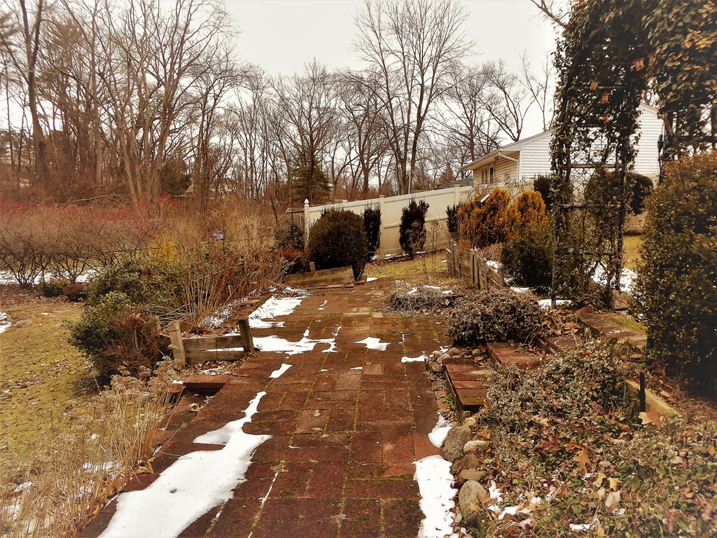 100 Hudson Street Springfield, MA 01118 - Photo 26 of 30 a view of yard with trees