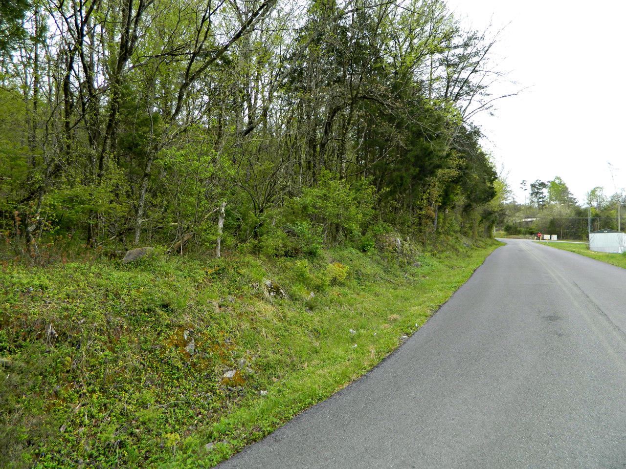 Harbin Road Dandridge, TN 37725 - Photo 2 of 5 DSCN2985