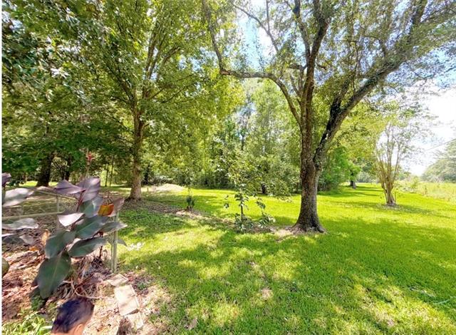 23544 Blood River Road Springfield, LA 70462 - Photo 20 of 23