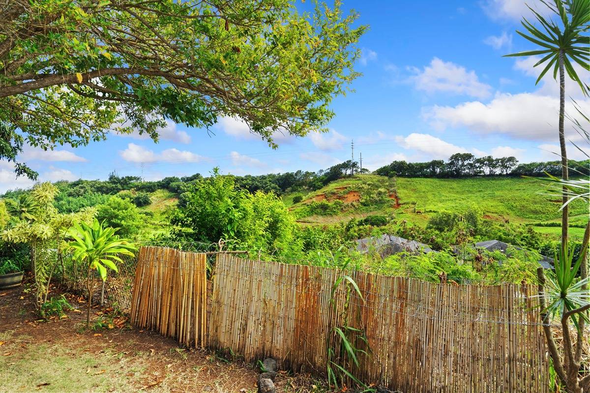 4920 Aliali Road, Unit 11 Kapaa, HI 96746 - Photo 24 of 30 a view of a yard with plants and wooden fence