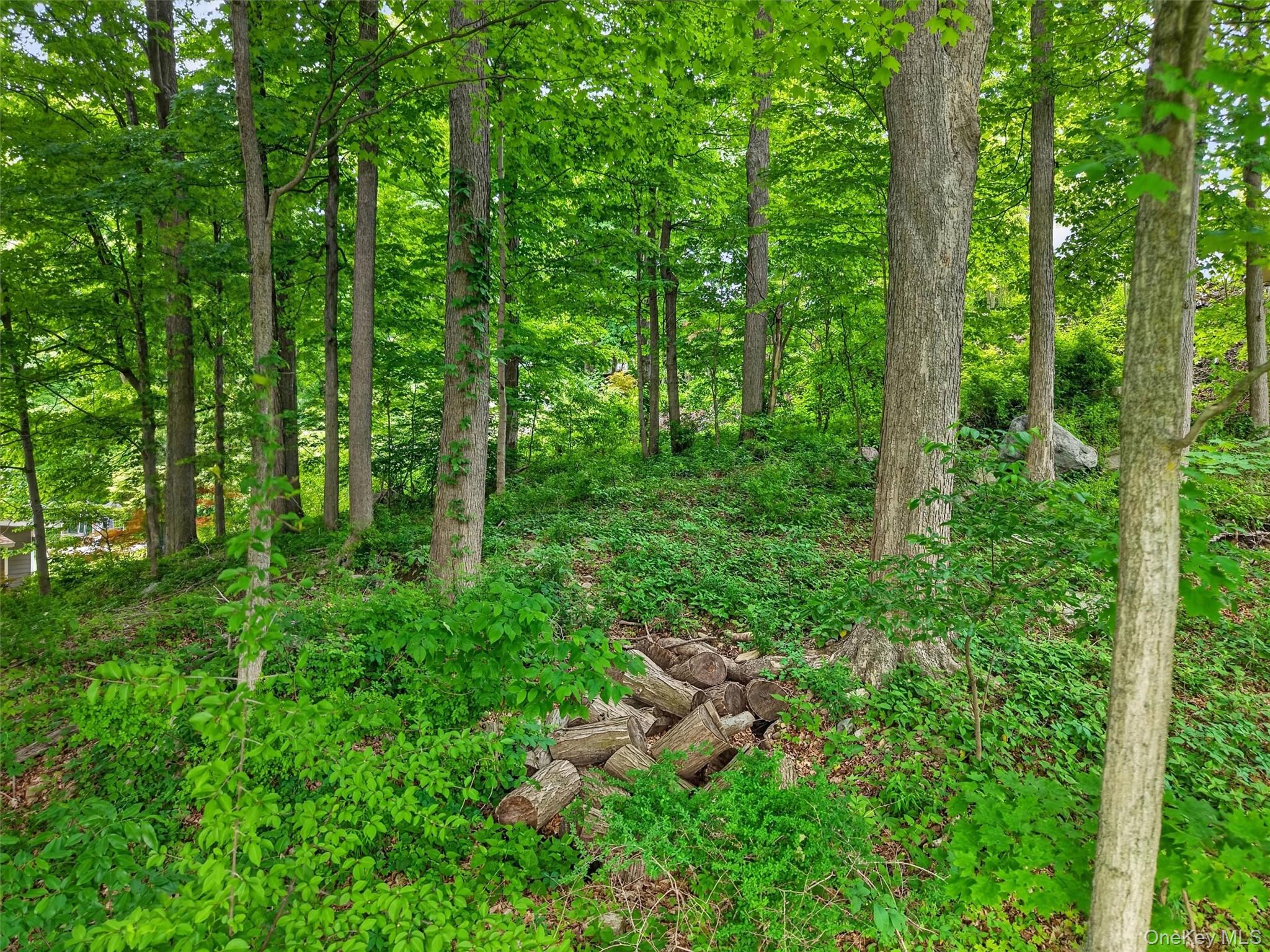 154 Gallows Hill Road Garrison, NY 10524 - Photo 5 of 9