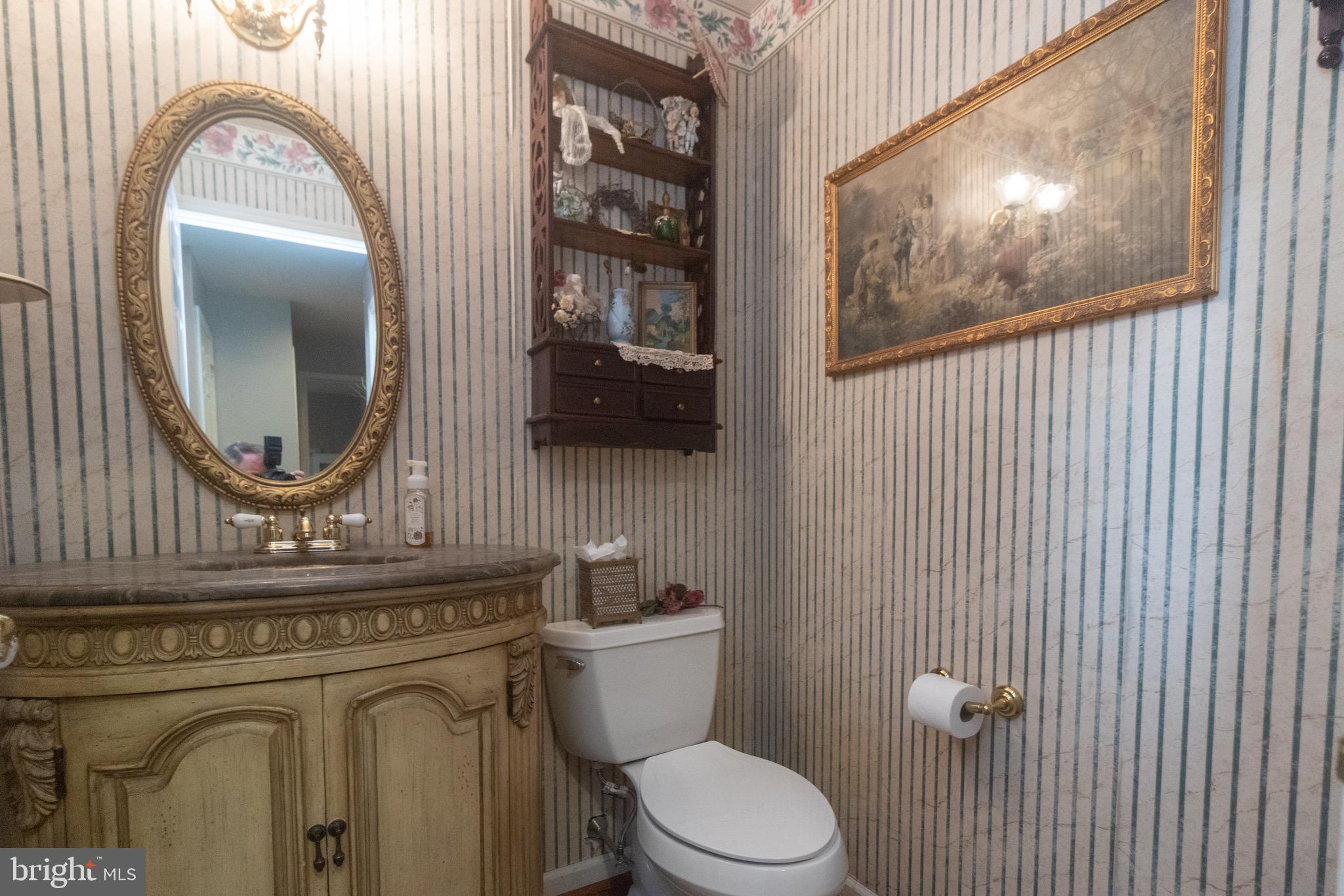 10 Laurel Tree Drive Westampton, NJ 08060 - Photo 19 of 58 Powder Room