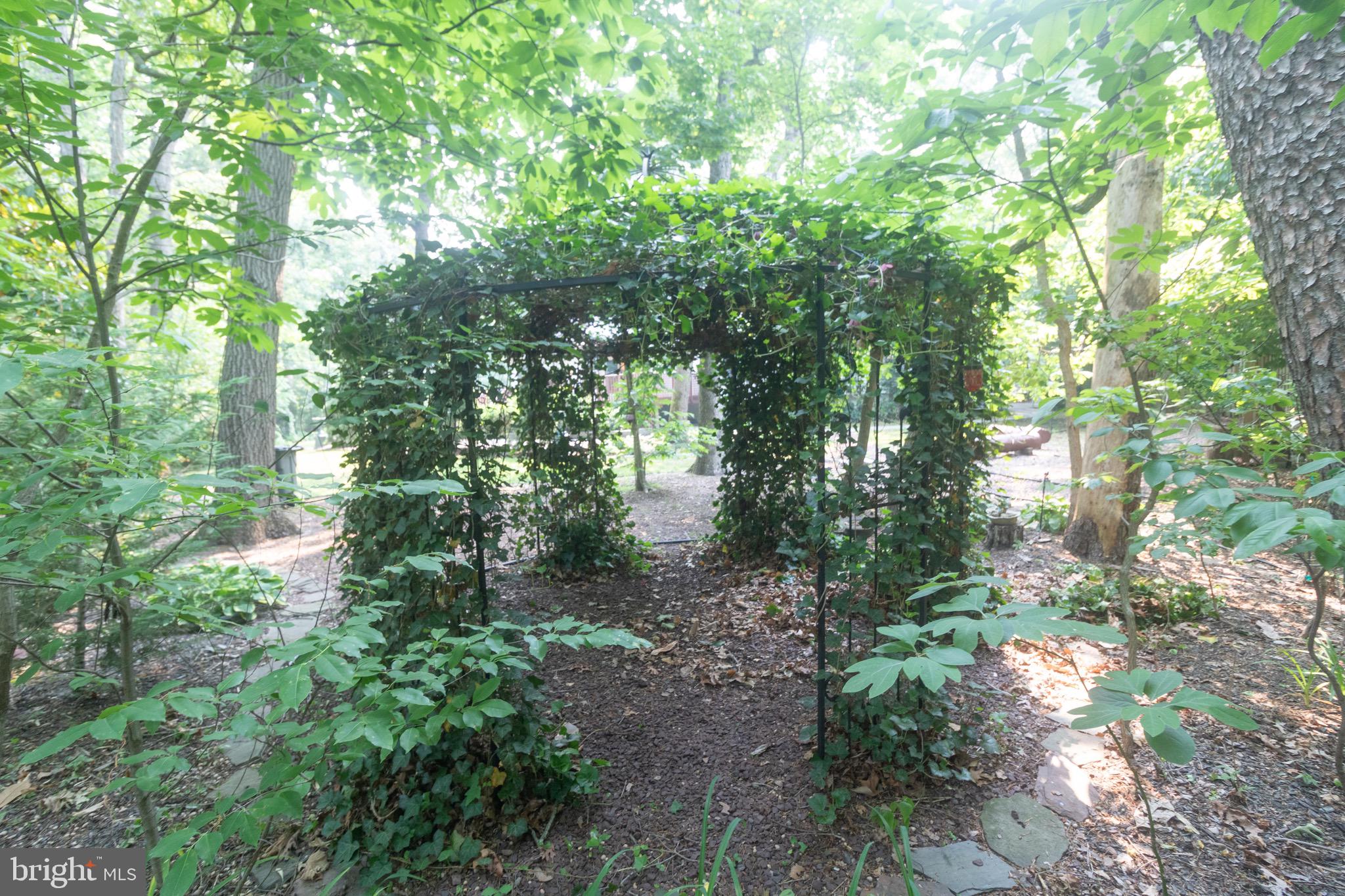 10 Laurel Tree Drive Westampton, NJ 08060 - Photo 49 of 58