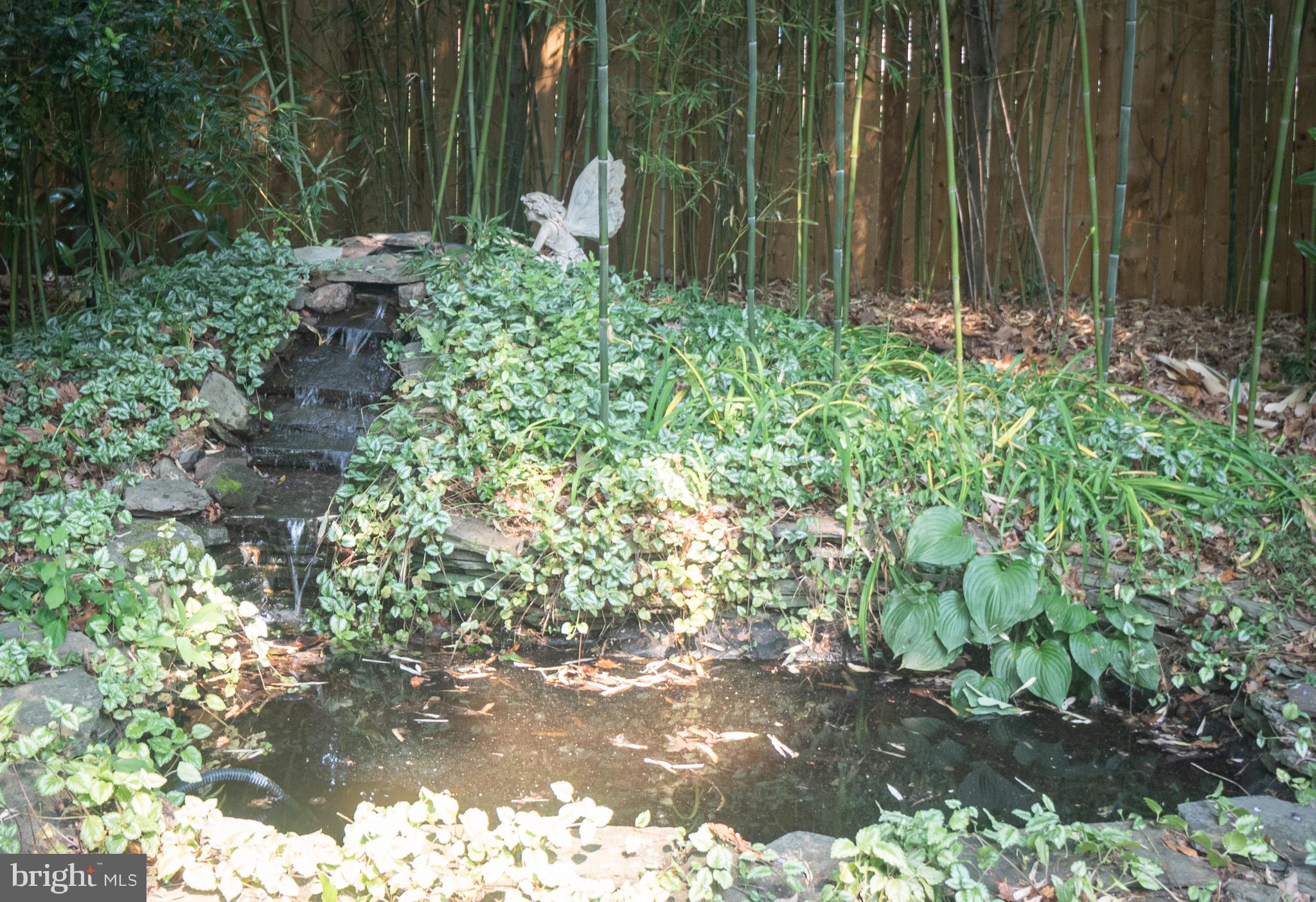 10 Laurel Tree Drive Westampton, NJ 08060 - Photo 50 of 58 Pond