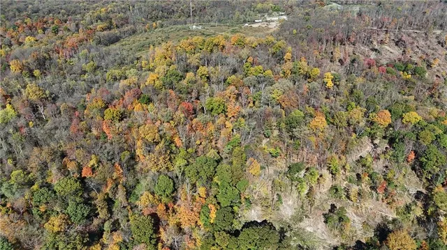 a view of outdoor space