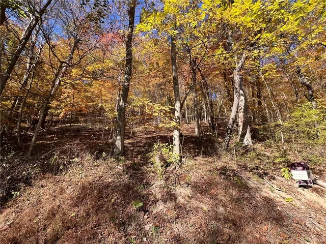 a view of empty space with trees