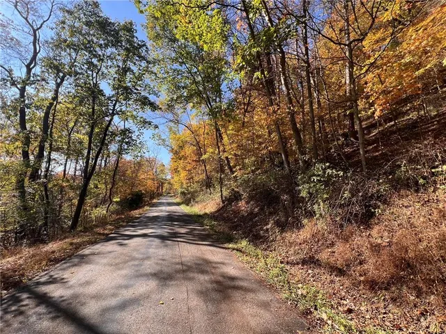 $60,000 | 19-acres Along Climax Road, New Florence, PA 15944