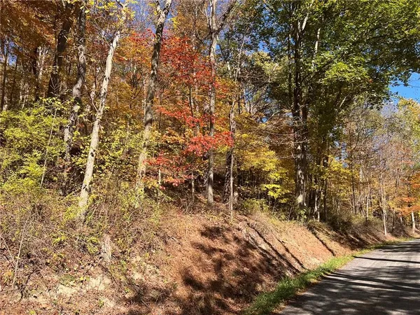 $60,000 | 19-acres Along Climax Road, New Florence, PA 15944