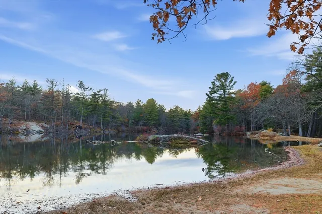 a park view with a bench