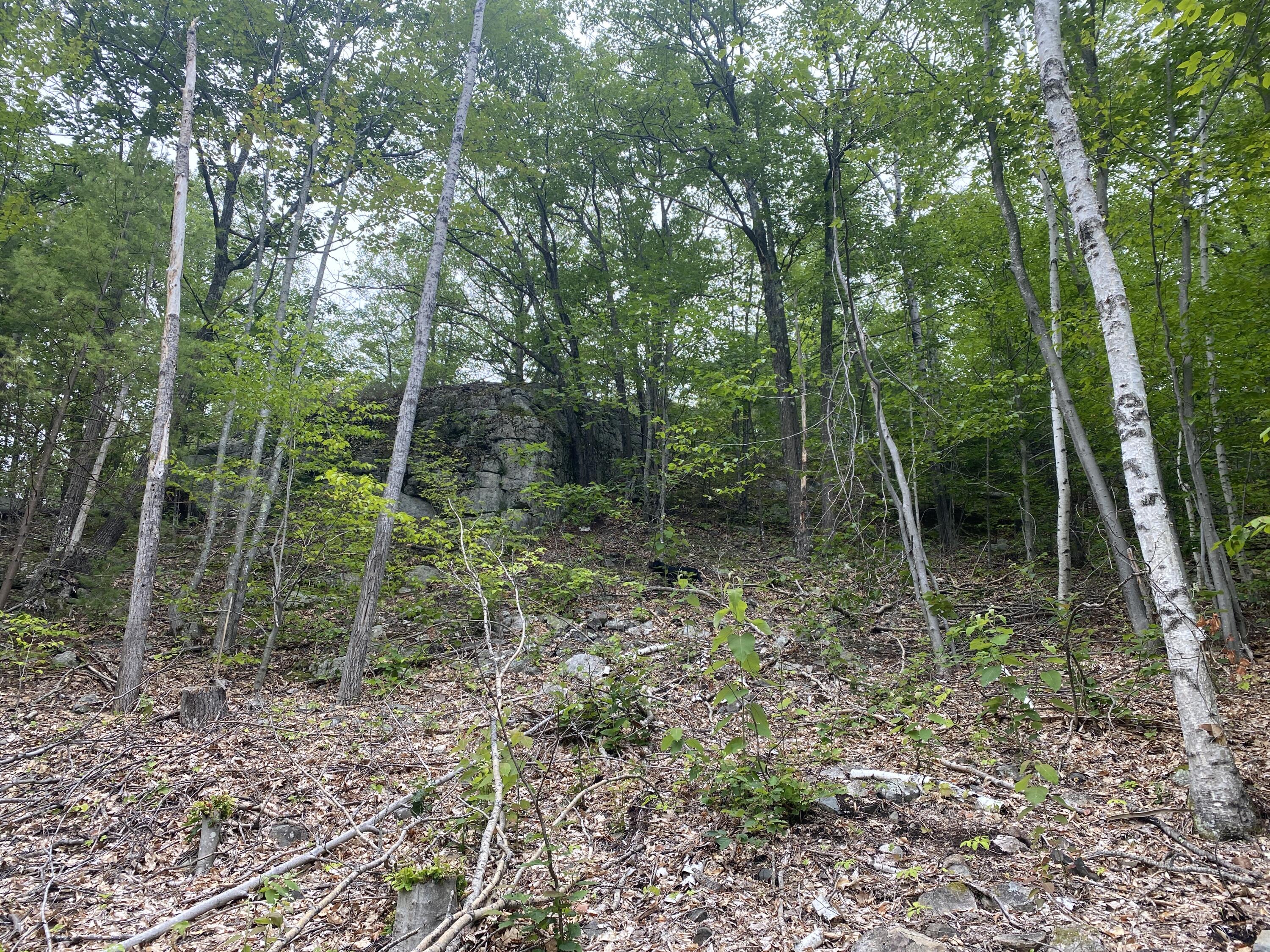 19 Off Peary Mountain Road Brownfield, ME 04010 - Photo 10 of 26 IMG_5750