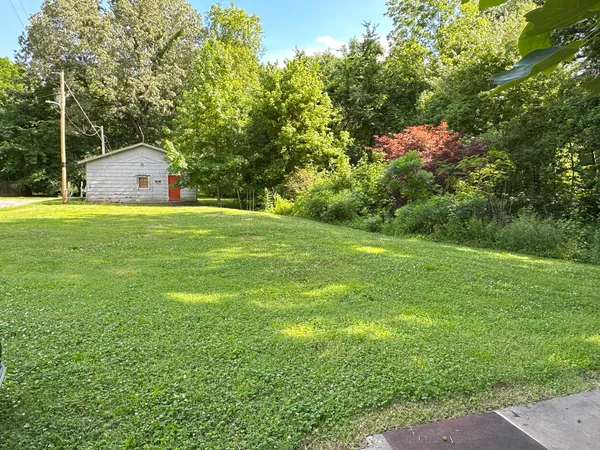 a backyard of a house with plants and large trees