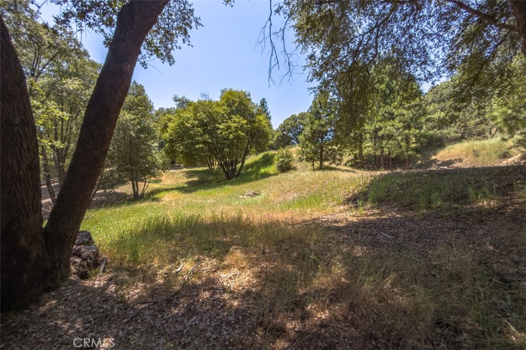 2397 Parmabelle Road Mariposa, CA 95338 - Photo 7 of 34 a view of a yard with large trees