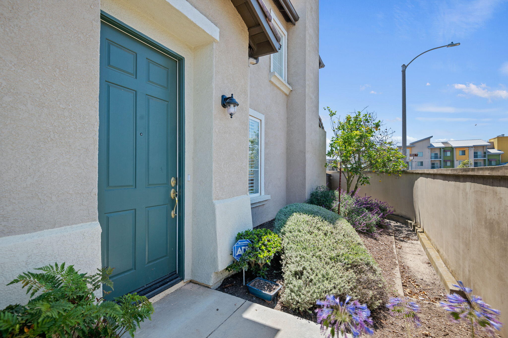 a view of a potted plant in front of a door