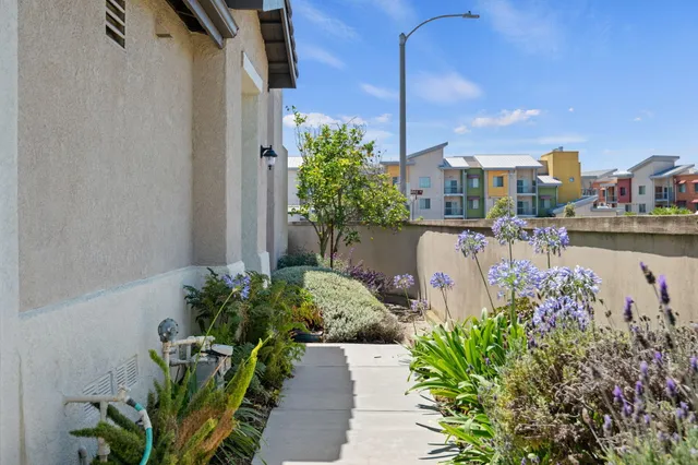 a view of a garden with a lake