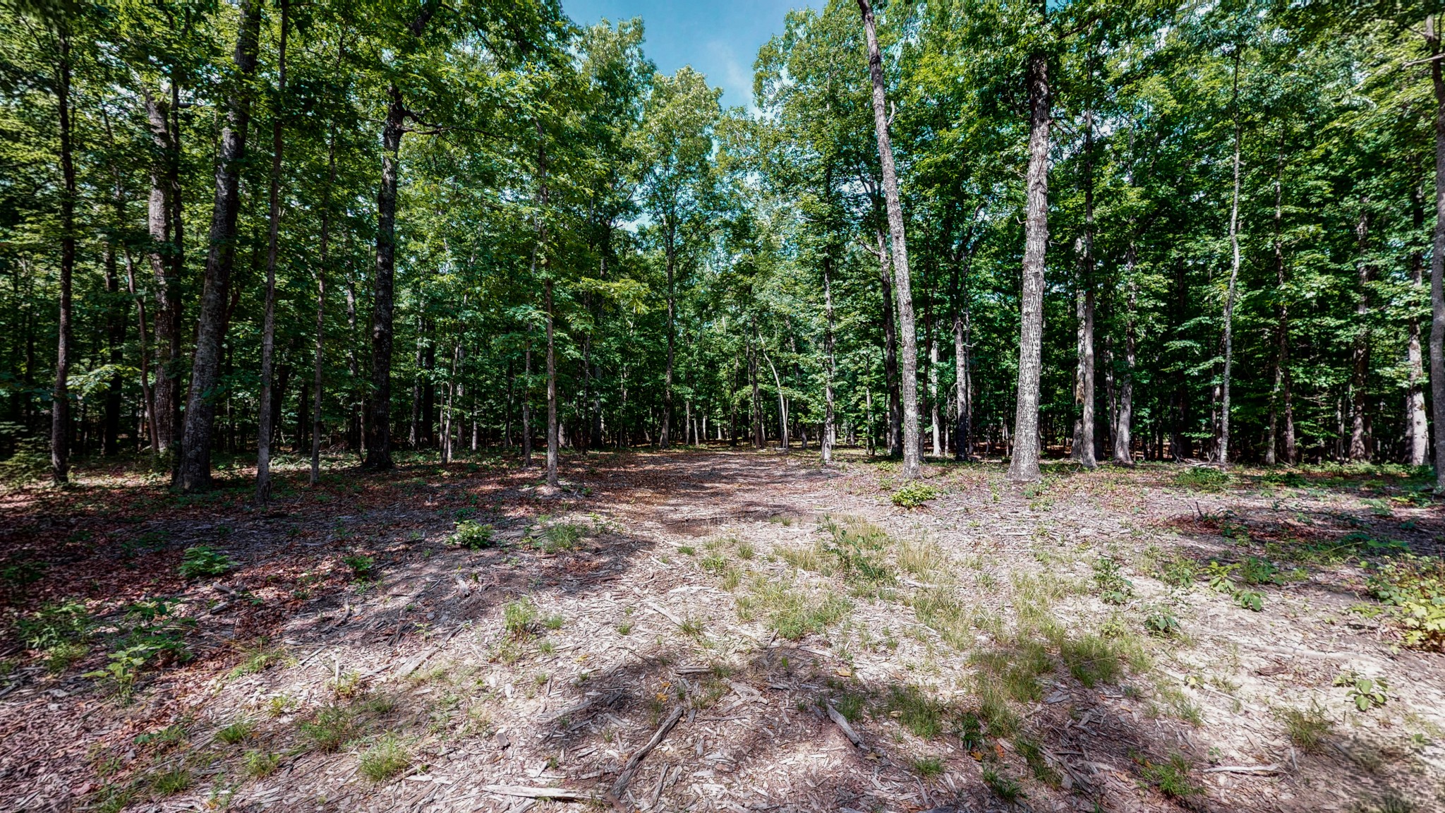 0 Cooley's Rift Boulevard Monteagle, TN 37356 - Photo 1 of 38