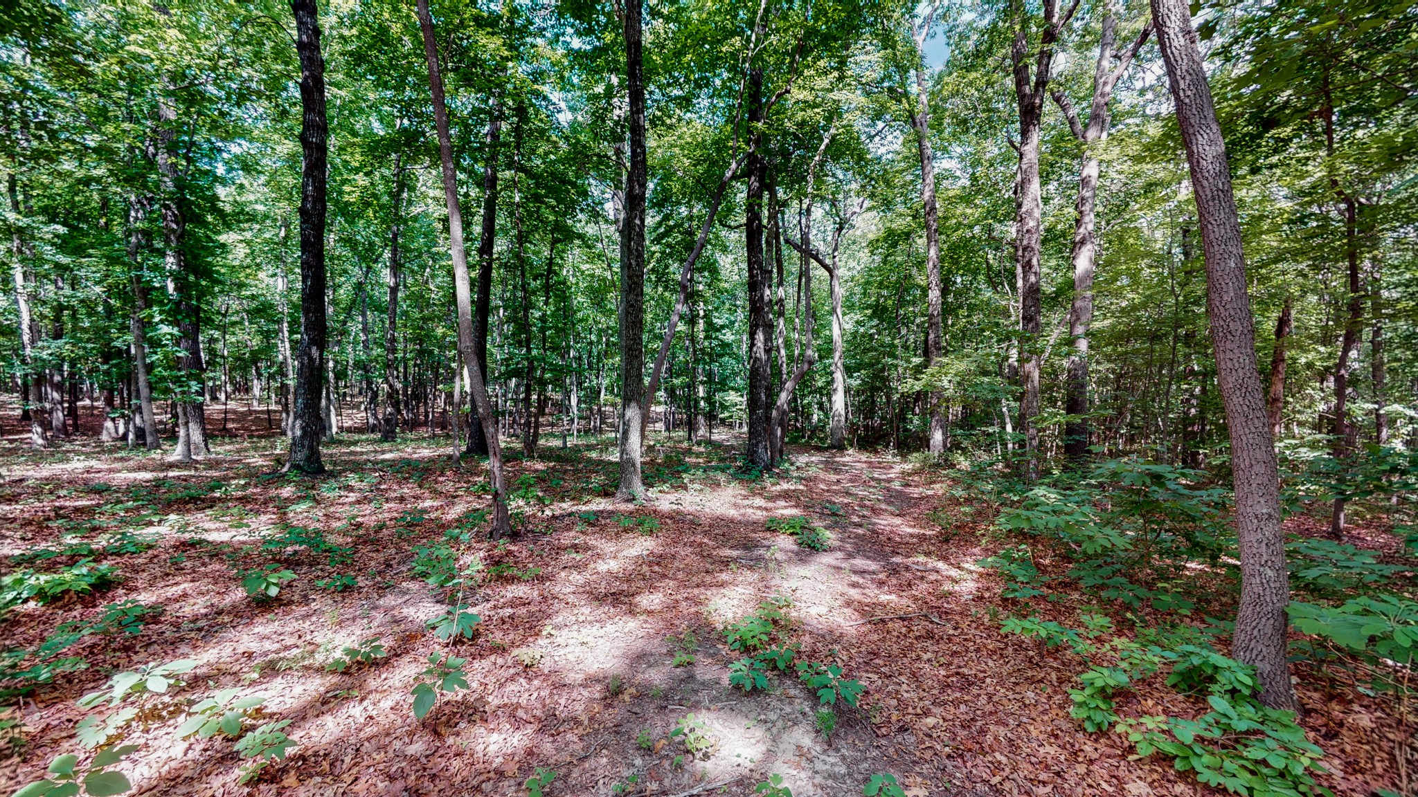 0 Cooley's Rift Boulevard Monteagle, TN 37356 - Photo 6 of 38