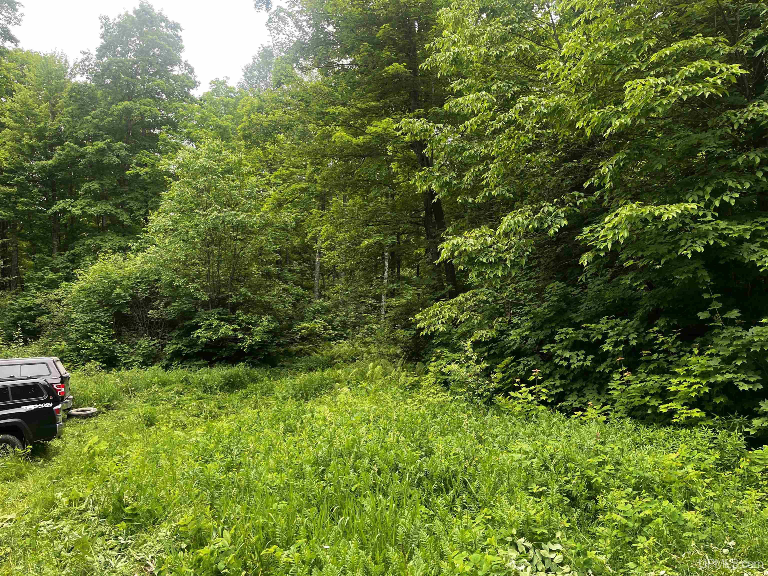 40-acres The Grade Road Crystal Falls, MI 49920 - Photo 34 of 39