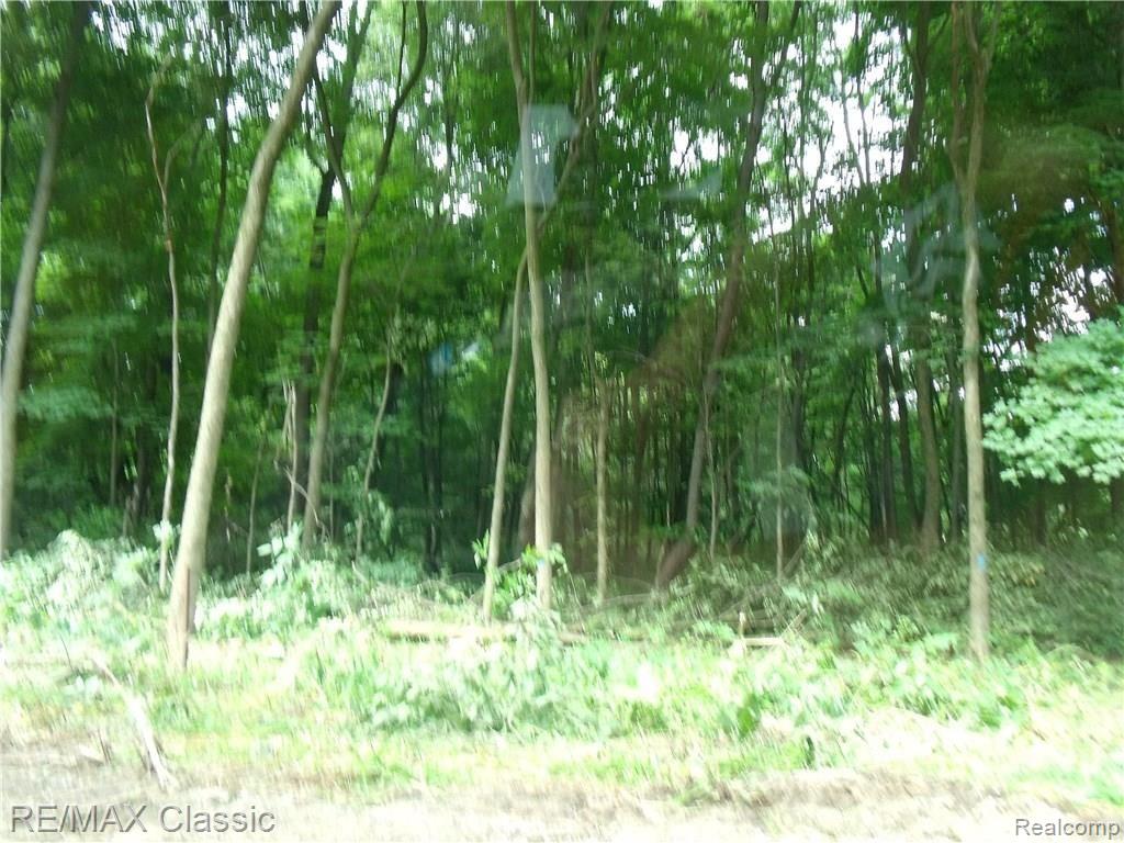 0 Rattalee Lake Rd J Two High Elevation Knolls Holly, MI 48442 - Photo 3 of 4