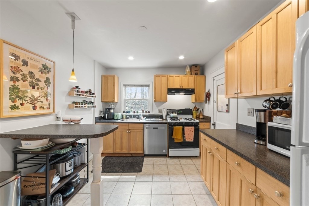 36 Dickinson Road, Unit 36 Boston, MA 02135 - Photo 7 of 19