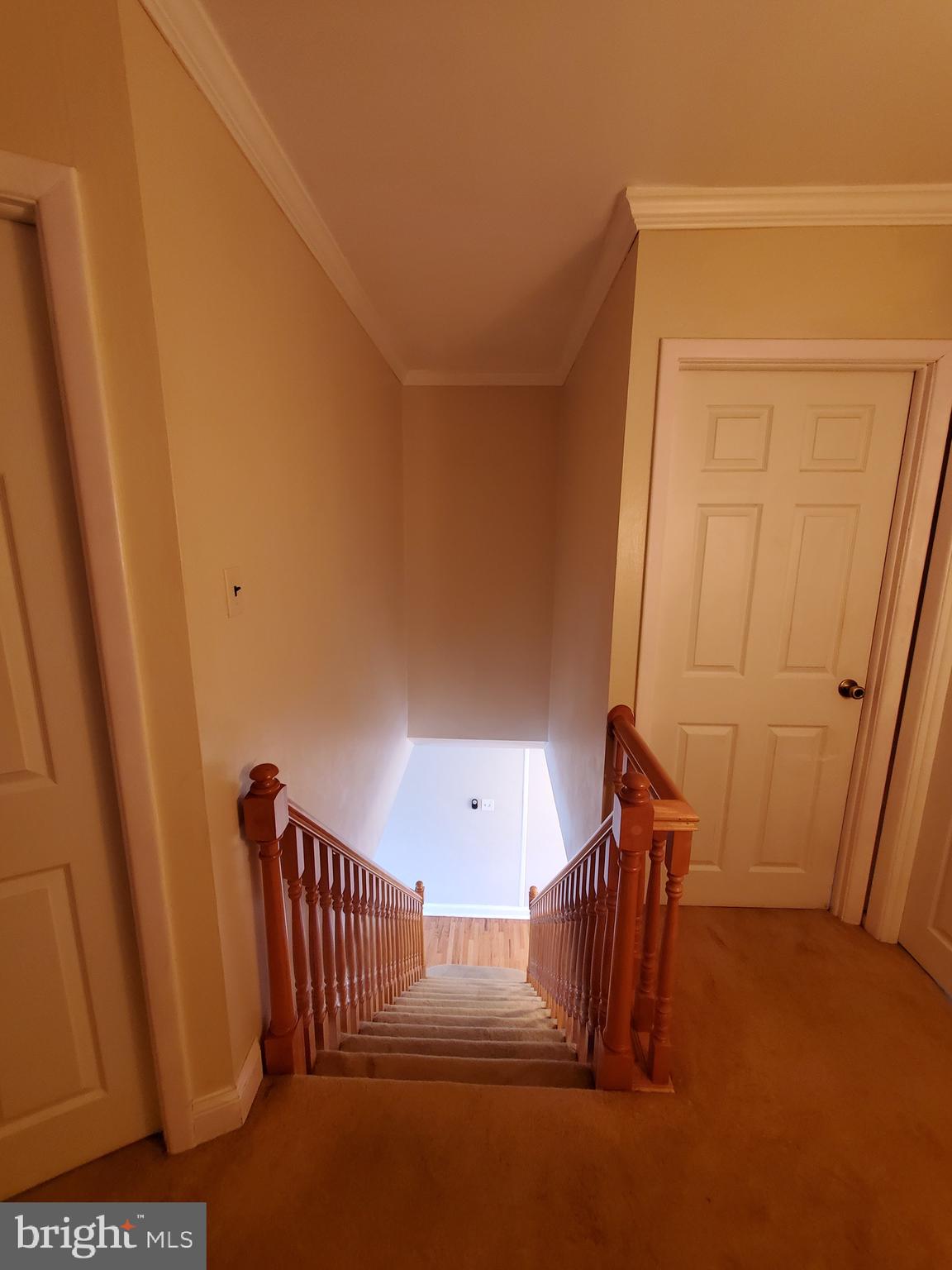 3814 Salina Road Philadelphia, PA 19154 - Photo 28 of 45 Gallery Image 28
