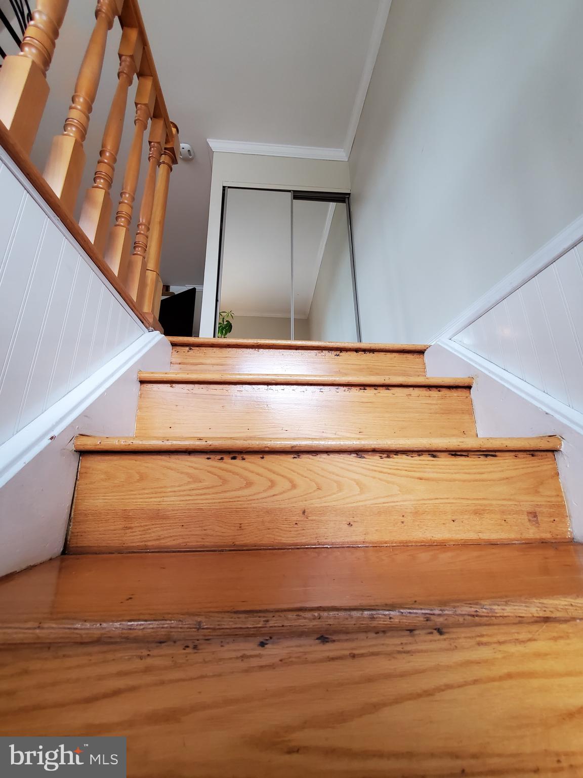 3814 Salina Road Philadelphia, PA 19154 - Photo 4 of 45 Gallery Image 4