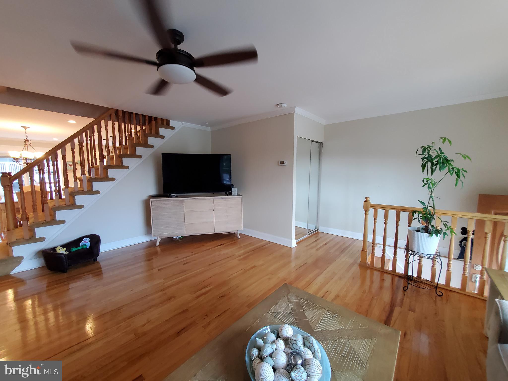 3814 Salina Road Philadelphia, PA 19154 - Photo 8 of 45 Gallery Image 8
