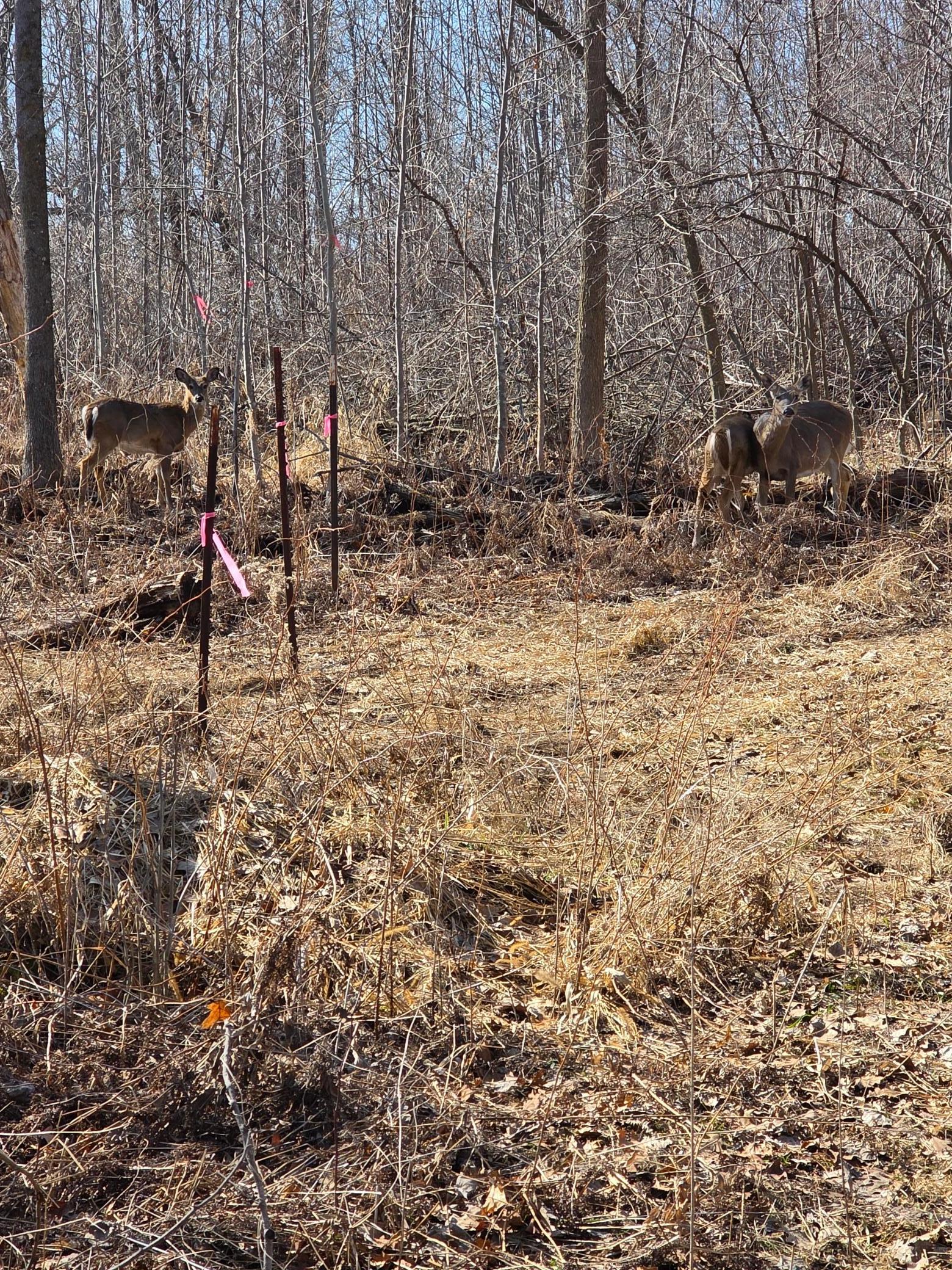 1684 3/4 Street Turtle Lake, WI 54889 - Photo 11 of 23