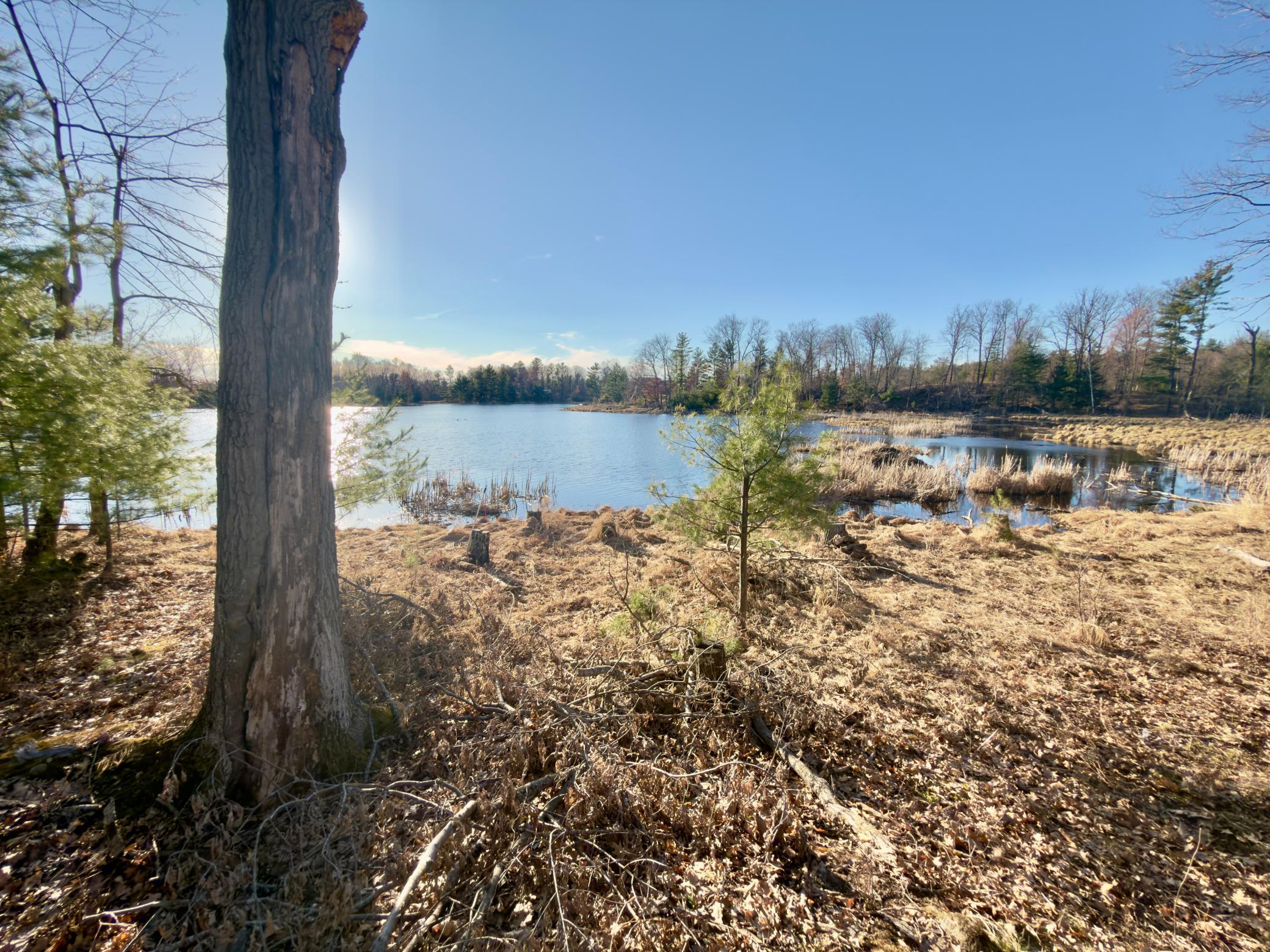 1684 3/4 Street Turtle Lake, WI 54889 - Photo 12 of 23