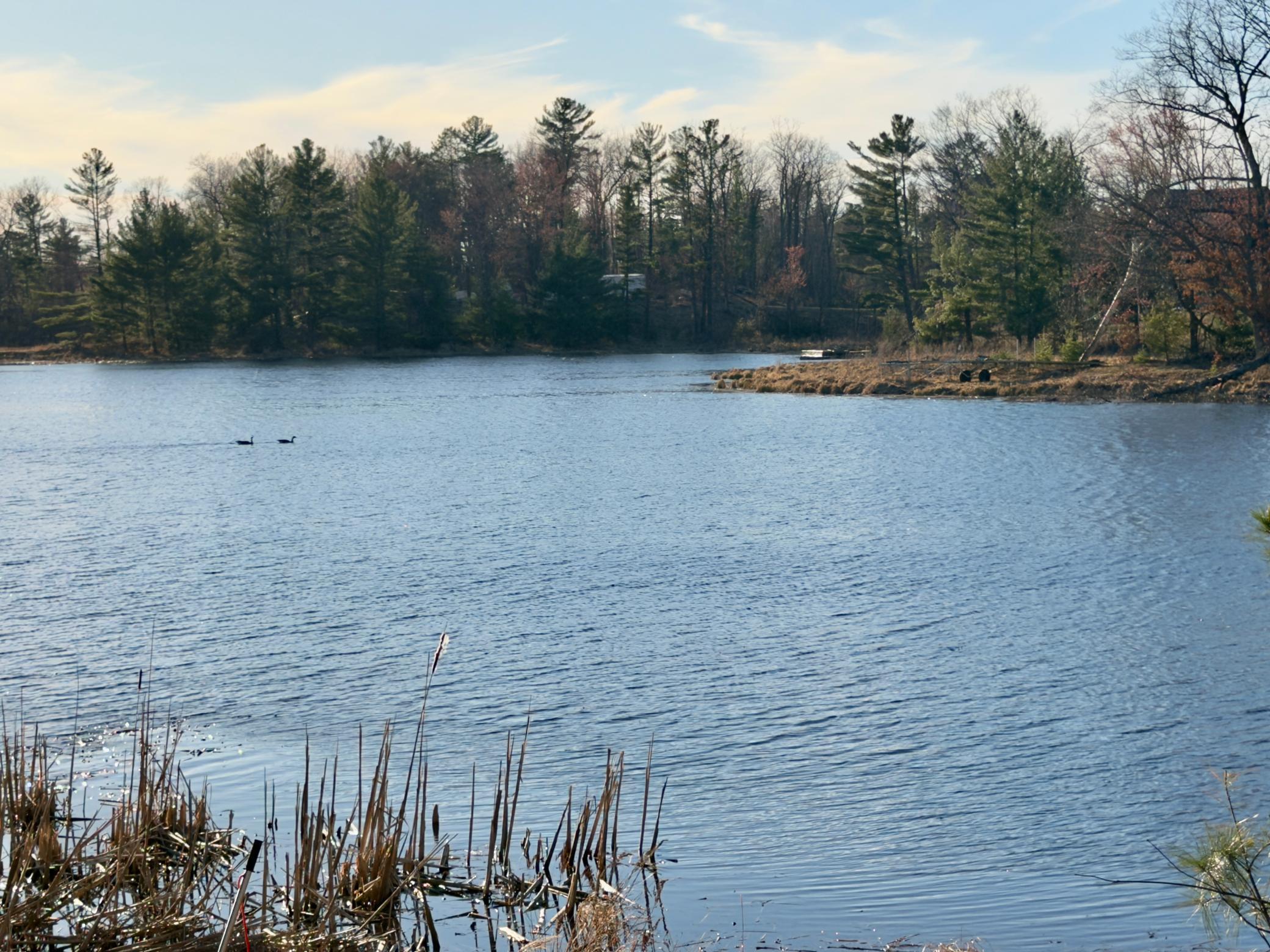 1684 3/4 Street Turtle Lake, WI 54889 - Photo 13 of 23