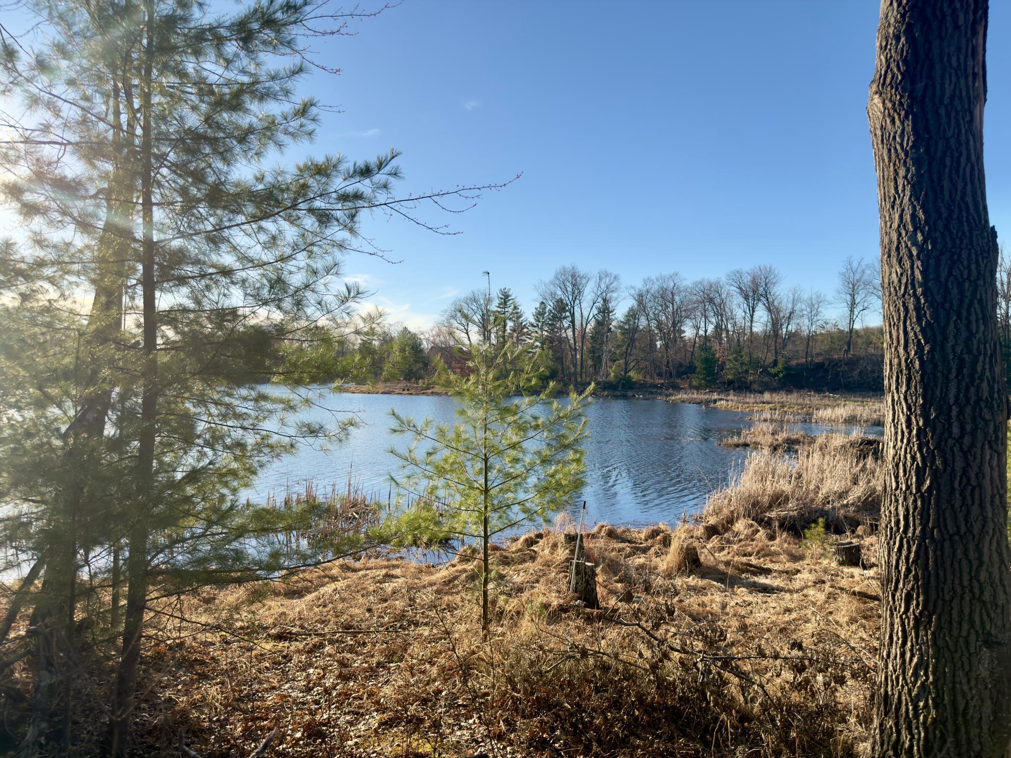 1684 3/4 Street Turtle Lake, WI 54889 - Photo 16 of 23