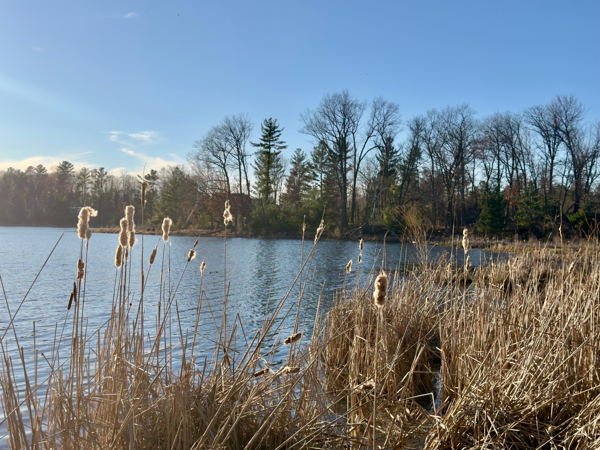 1684 3/4 Street Turtle Lake, WI 54889 - Photo 17 of 23