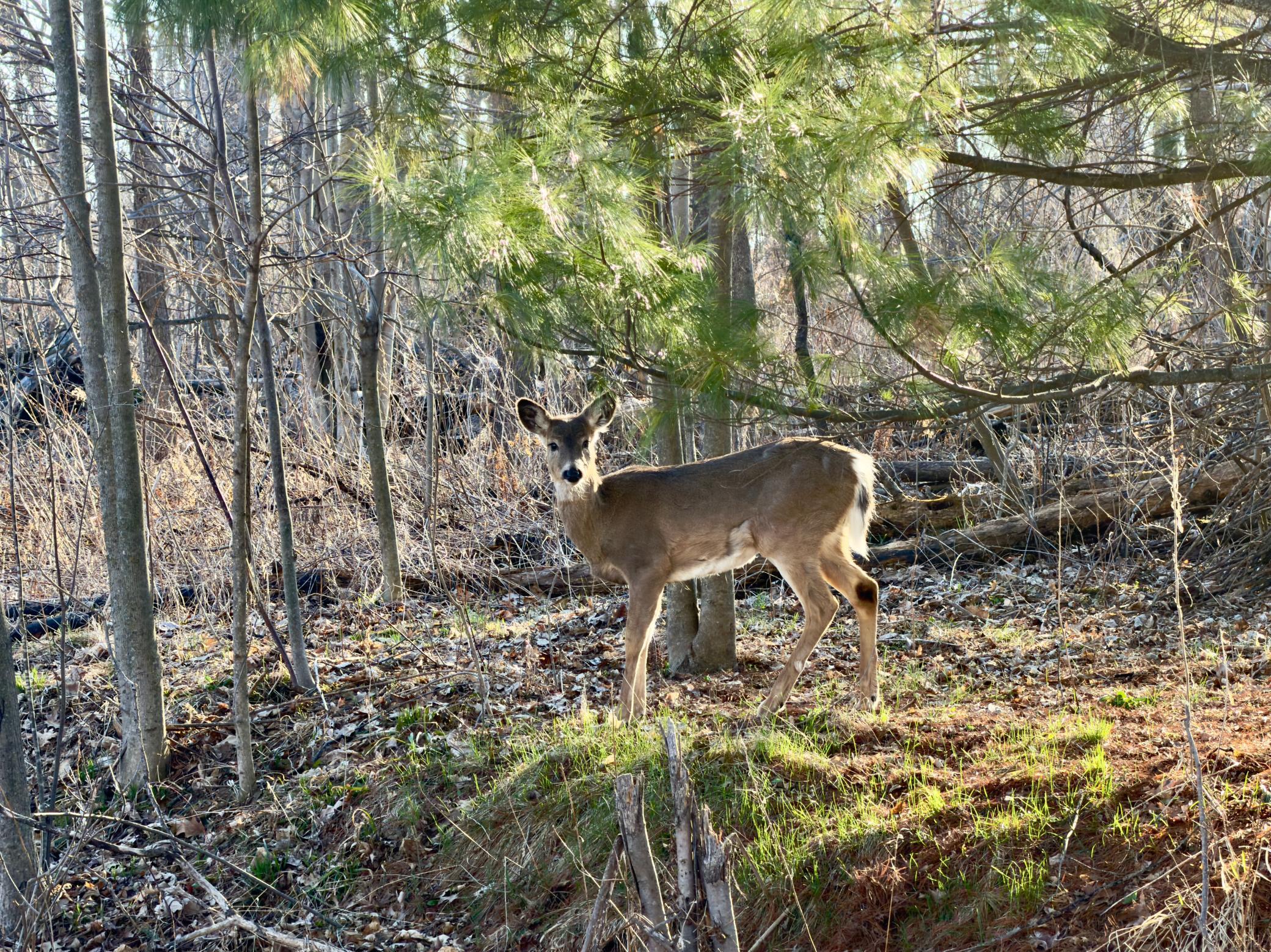 1684 3/4 Street Turtle Lake, WI 54889 - Photo 9 of 23