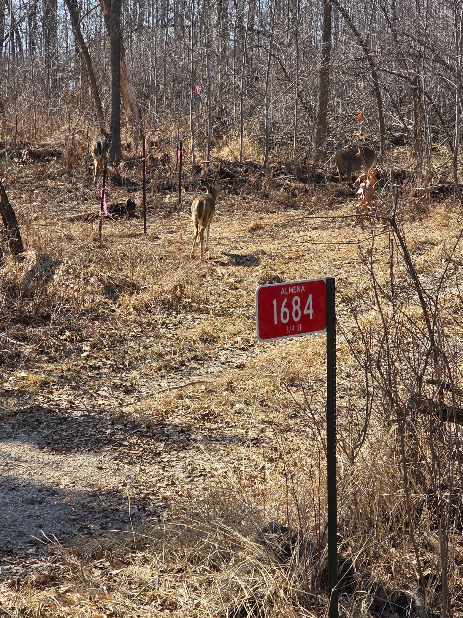 1684 3/4 Street Turtle Lake, WI 54889 - Photo 10 of 23