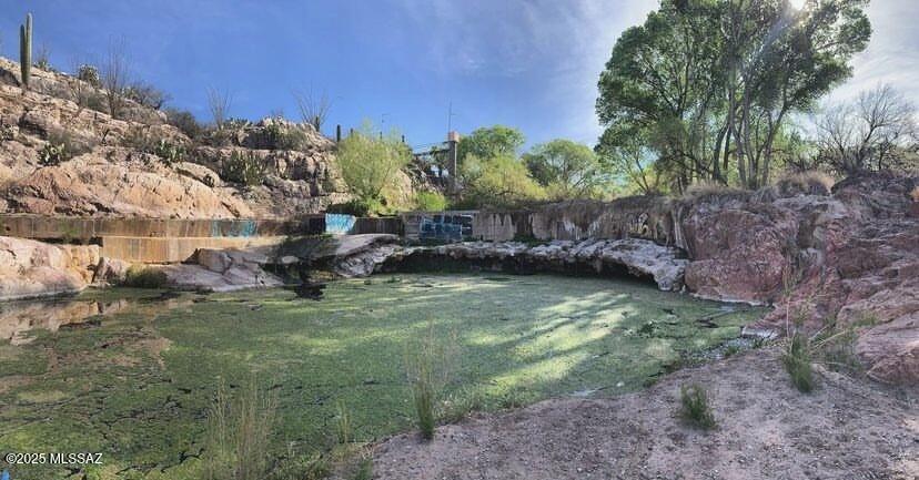 11640 South Lava Peak Road Vail, AZ 85641 - Photo 37 of 39 a view of a yard with plants and a bench