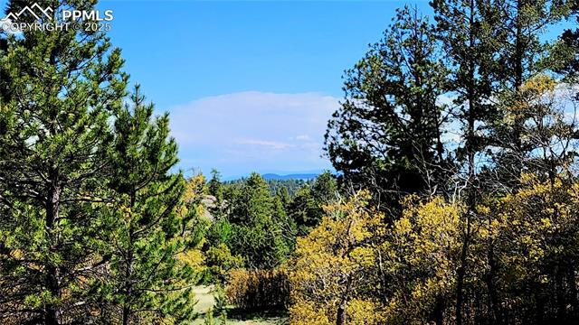 324 Pike View Road Florissant, CO 80816 - Photo 13 of 23 view from side of front Deck