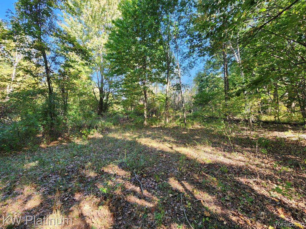 8060 Brockway Road Melvin, MI 48454 - Photo 31 of 39