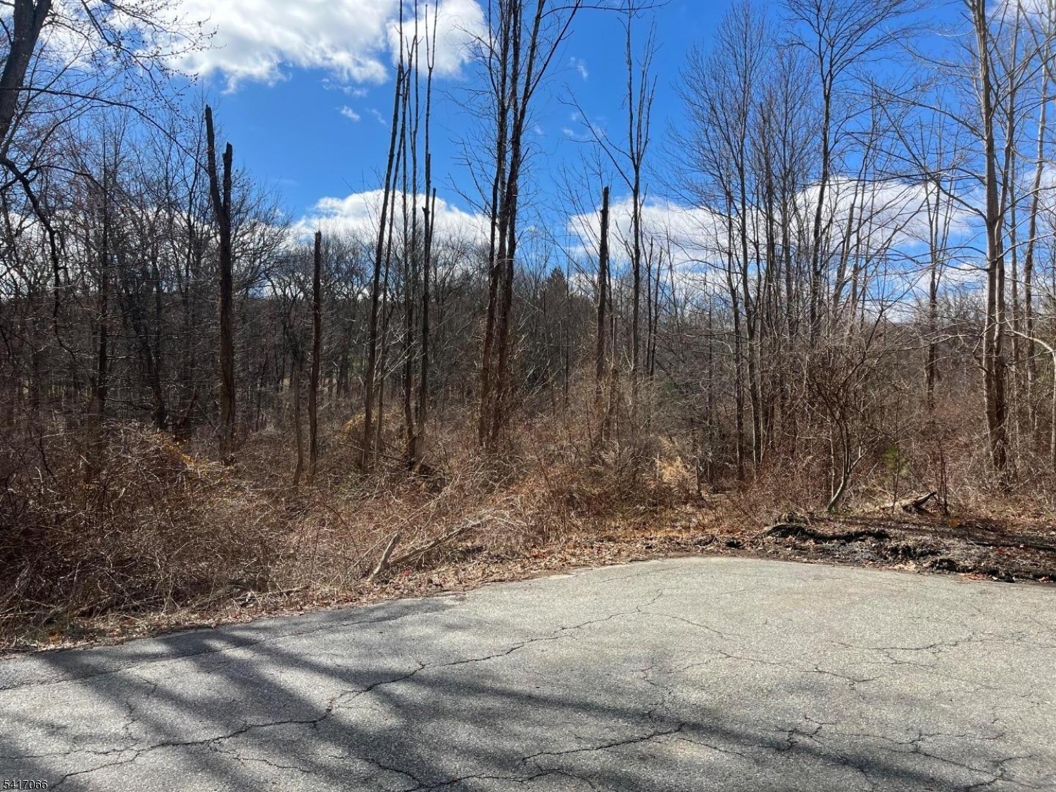 221 Old Center Grove Road Randolph, NJ 07869 - Photo 1 of 5