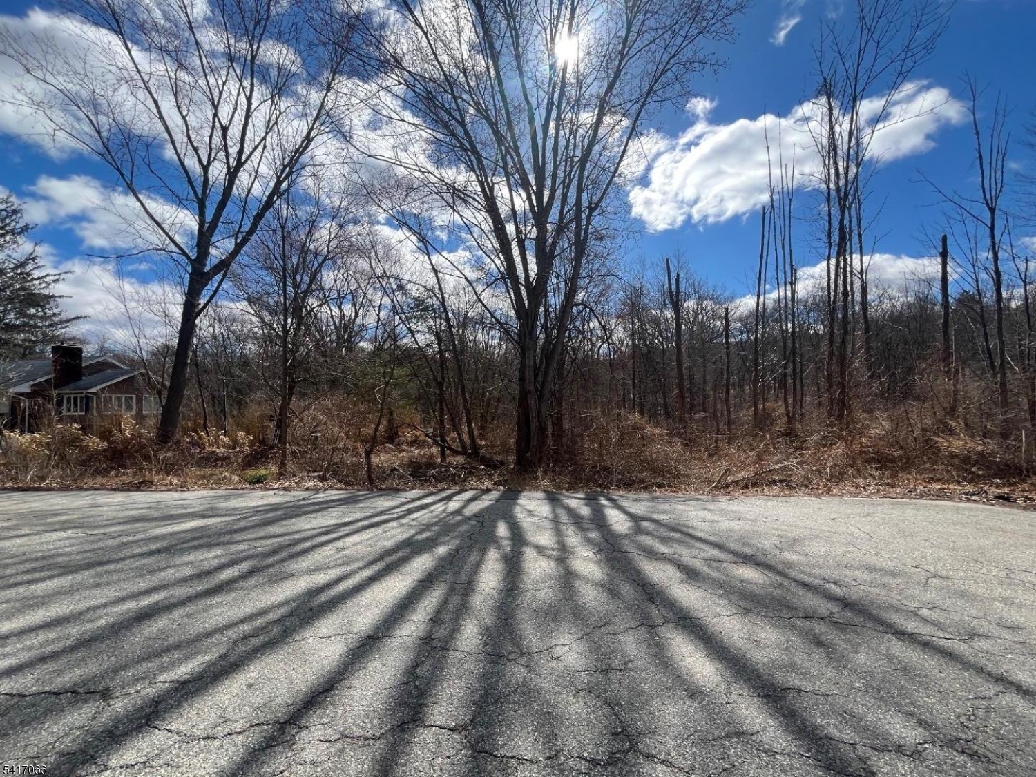 221 Old Center Grove Road Randolph, NJ 07869 - Photo 2 of 5