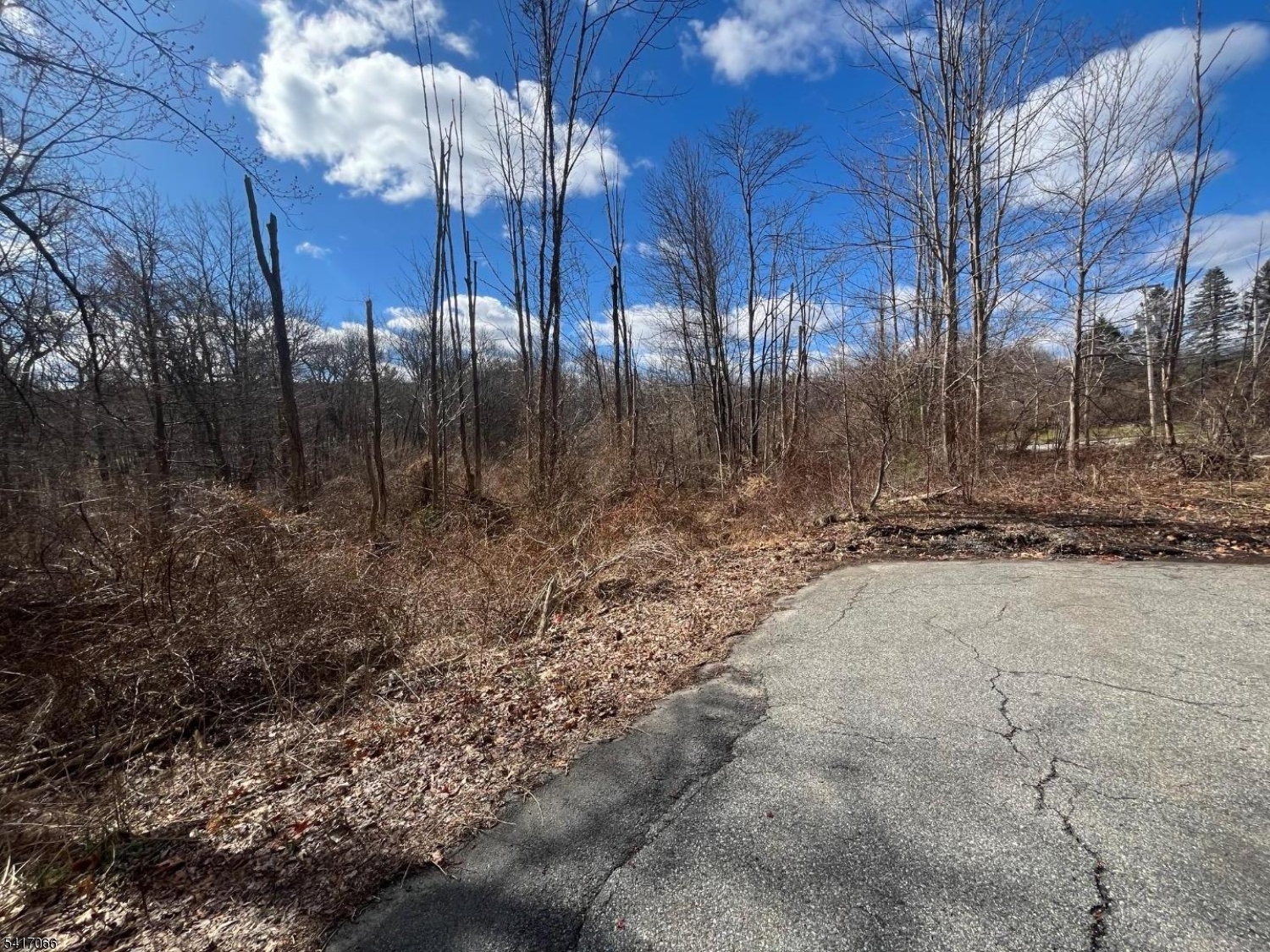 221 Old Center Grove Road Randolph, NJ 07869 - Photo 3 of 5