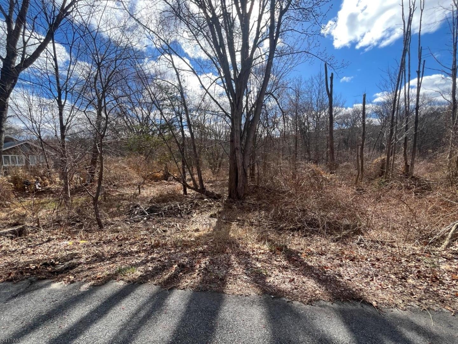 221 Old Center Grove Road Randolph, NJ 07869 - Photo 4 of 5