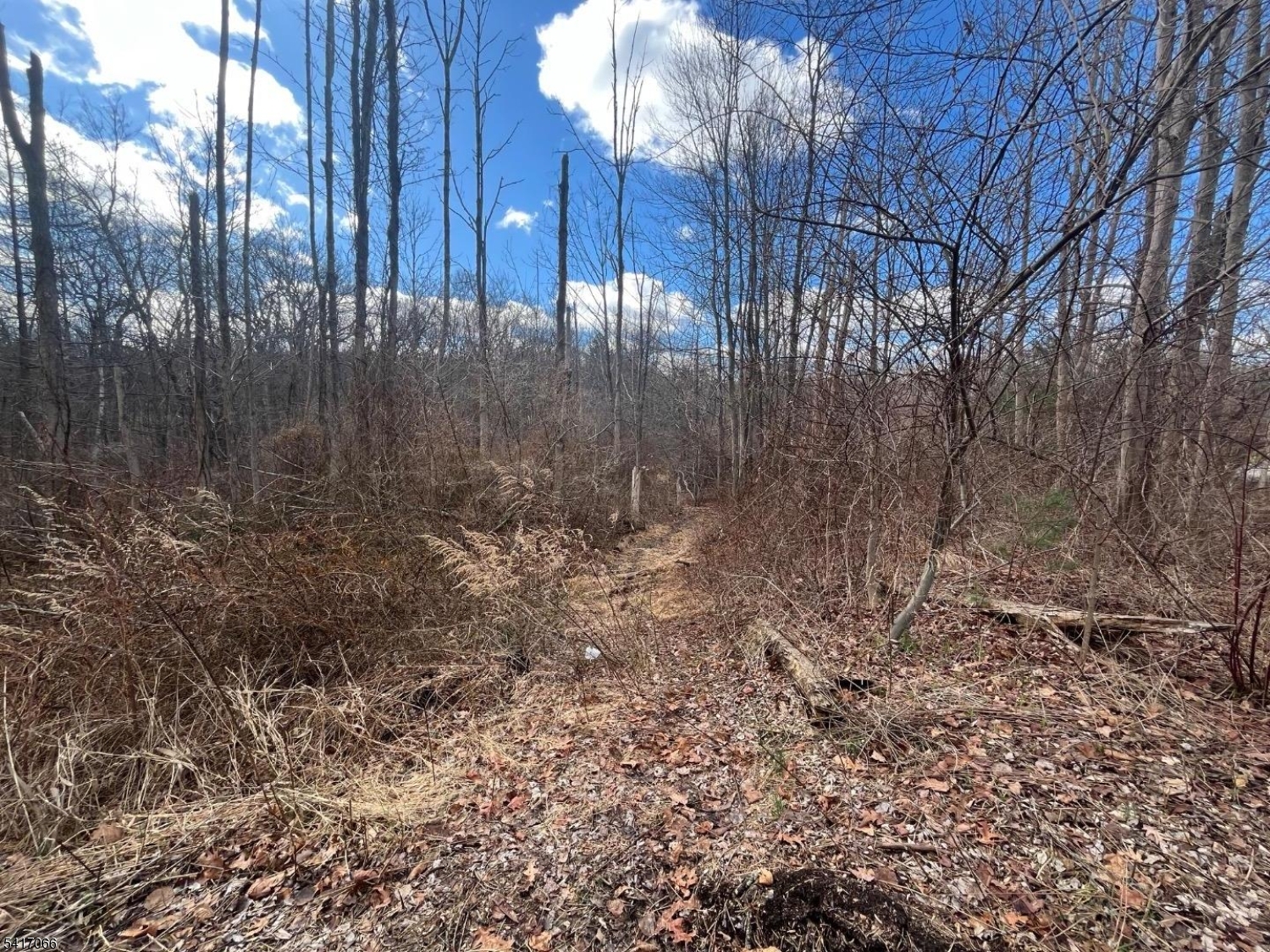 221 Old Center Grove Road Randolph, NJ 07869 - Photo 5 of 5