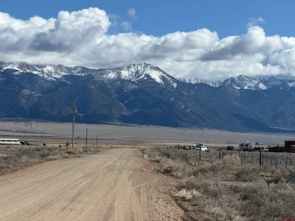 a view of a dry yard