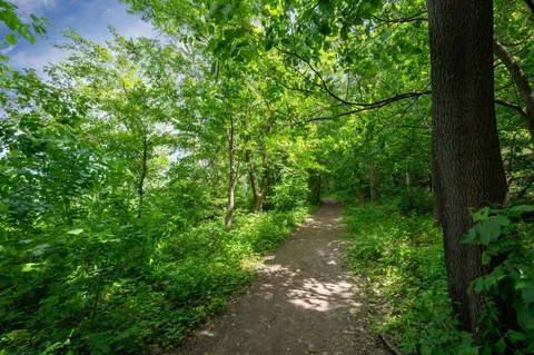 $1,200,000 | 2015 Upton Avenue South, Minneapolis, MN 55405