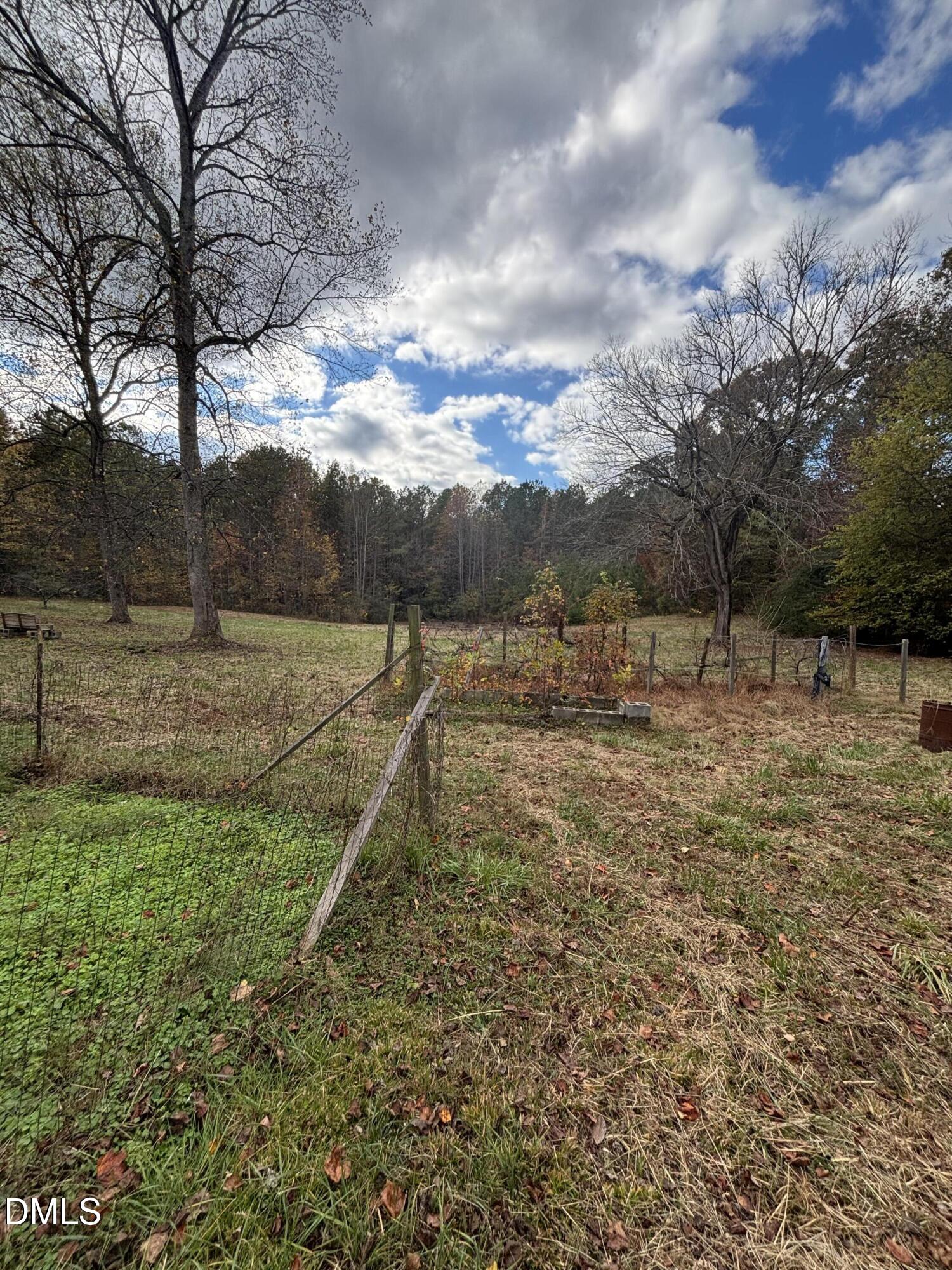 762 Shocco Springs Road Warrenton, NC 27589 - Photo 22 of 24 a view of a field with trees in the background