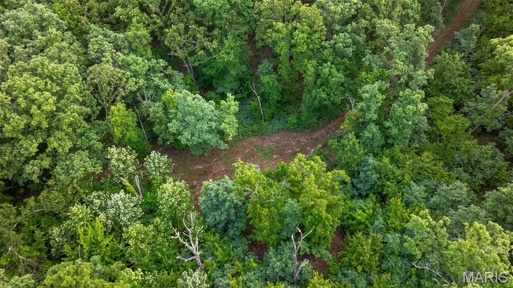 0 Hwy M Cabool, MO 65689 - Photo 40 of 68