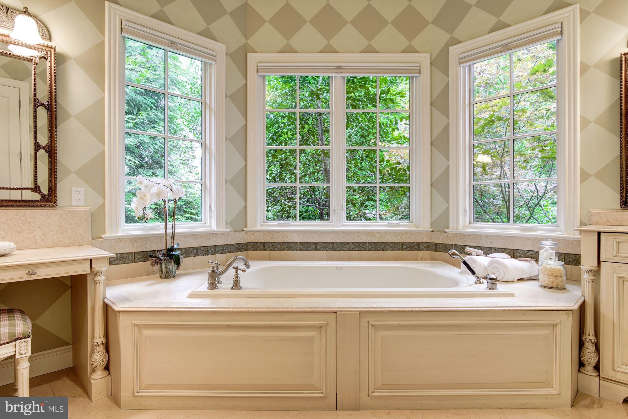 7112 Armat Drive Bethesda, MD 20817 - Photo 19 of 47 Relax in the bathtub