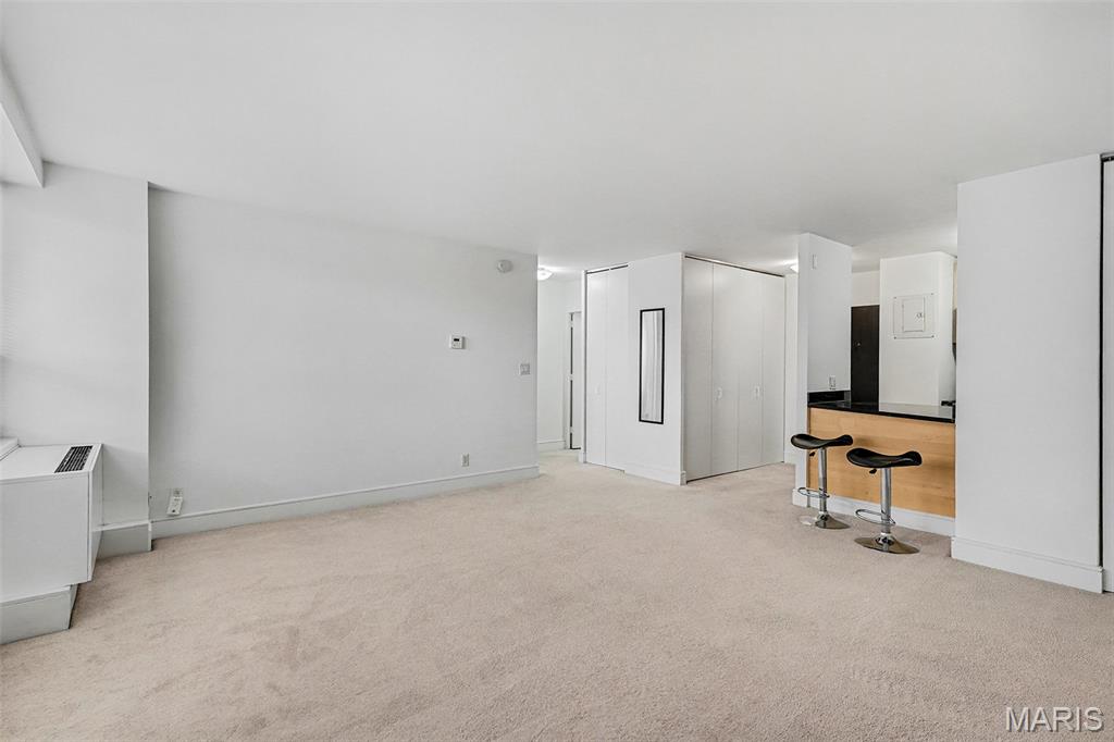 210 North 17th Street, Unit 204 St. Louis, MO 63103 - Photo 2 of 15