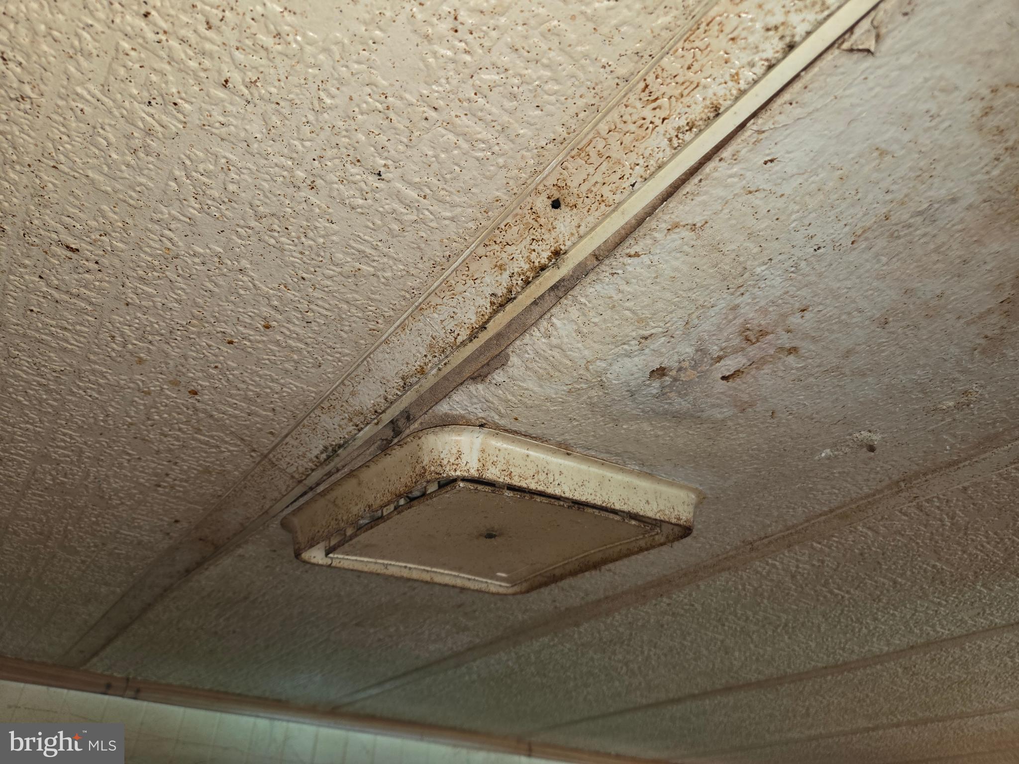 2500 Beaver Run Road Burlington, WV 26710 - Photo 32 of 52