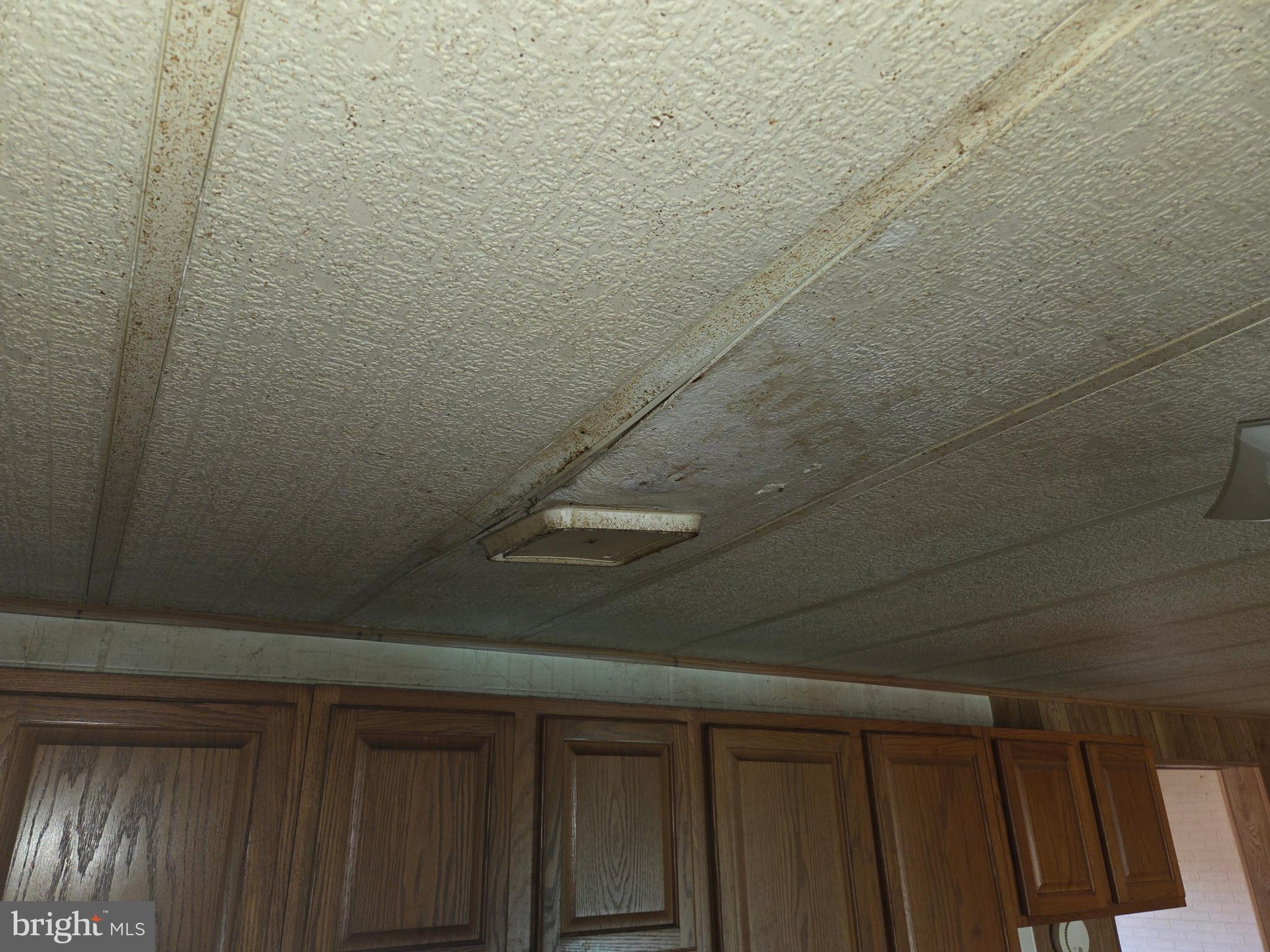 2500 Beaver Run Road Burlington, WV 26710 - Photo 33 of 52