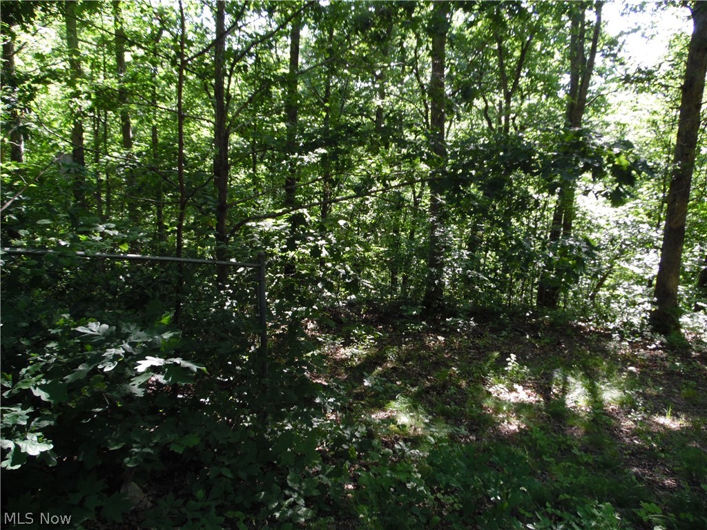 280 Linton Hill Road Cutler, OH 45724 - Photo 9 of 36